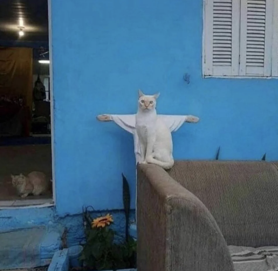 cat standing in front of a statue so it looks like it's got arms spread out