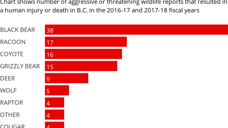 Oh deer: The surprising source of many of B.C.'s aggressive wildlife reports