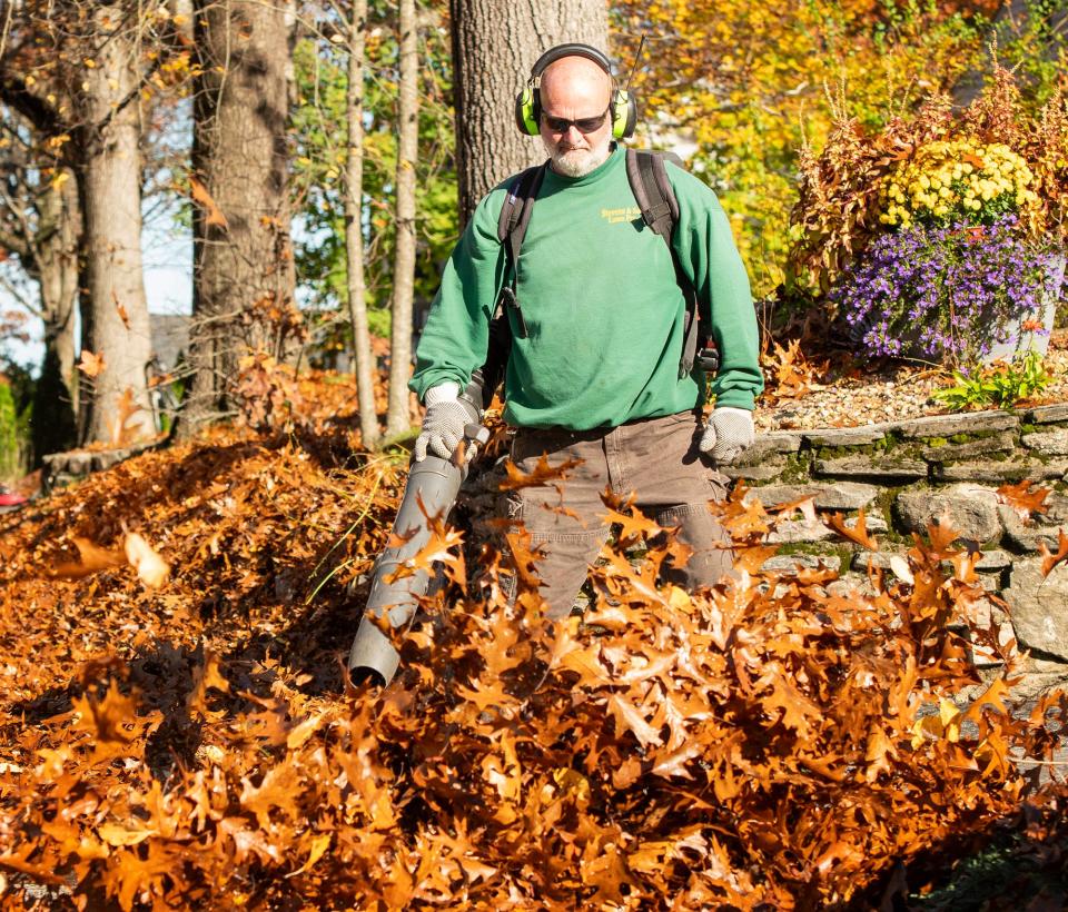 Landscaper Mark Stevens Jr. uses a gas-powered backpack leaf blower to clear a yard Tuesday.