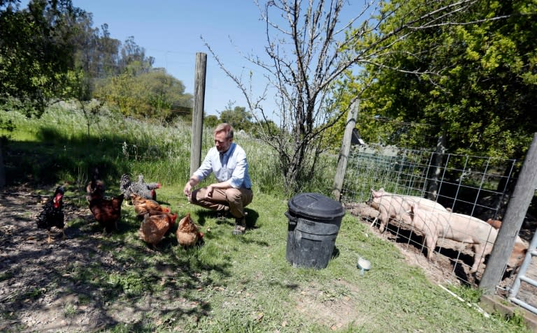 Adam Taggart raises chickens and pigs in preparation for a major disaster, whether environmental, financial, nuclear, or political