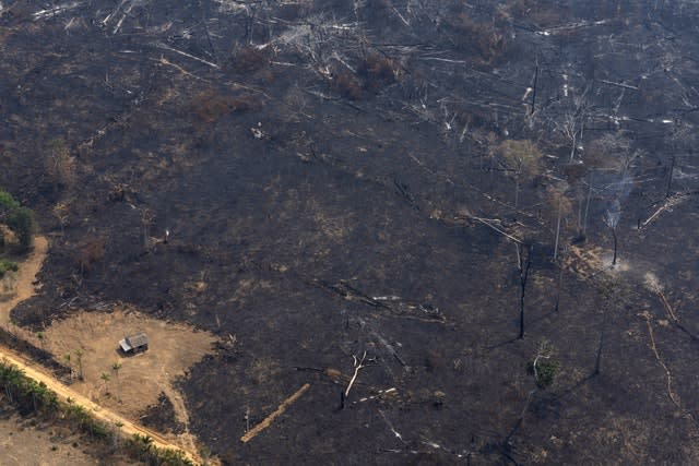 Brazil Amazon Fires