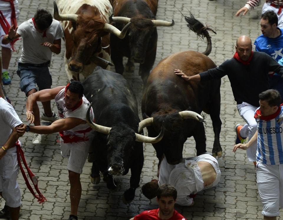 Participants run and fall in front of Del Tajo-La Reina's bulls during the second 'encierro' (bull-run) of the San Fermin Festival in Pamplona, northern Spain, on July 8, 2015. The festival is a symbol of Spanish culture that attracts thousands of tourists to watch the bull runs despite heavy condemnation from animal rights groups.   AFP PHOTO/ MIGUEL RIOPA        (Photo credit should read MIGUEL RIOPA/AFP/Getty Images)
