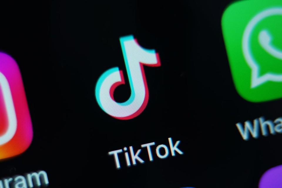 TikTok was only in its infancy during the last UK general election in 2019 (PA Wire)