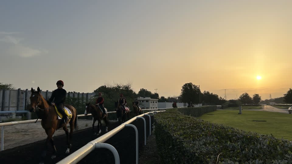 Horses walk to Meydan Racecourse from their quarantine stable for morning track work ahead of the Dubai World Cup. - Rebecca Cairns/CNN
