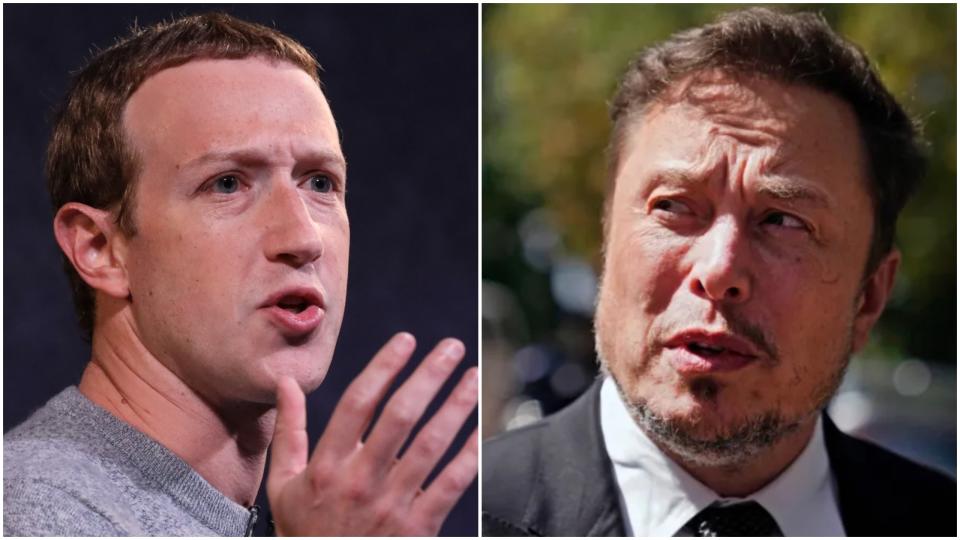 Musk Challenges Zuckerberg to Cage Match