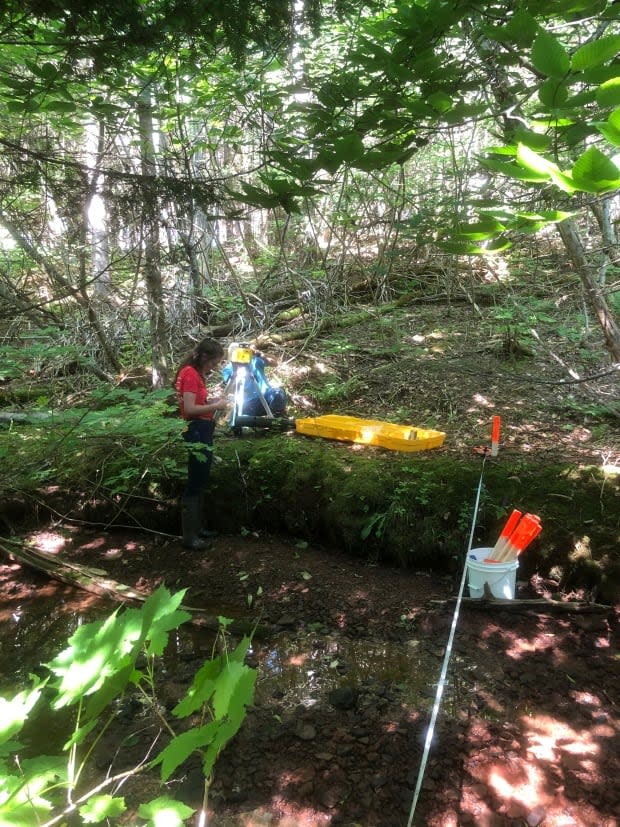 The audits pause during the summer, and the watershed crew heads out to monitor water levels, which is the second component of the program.  