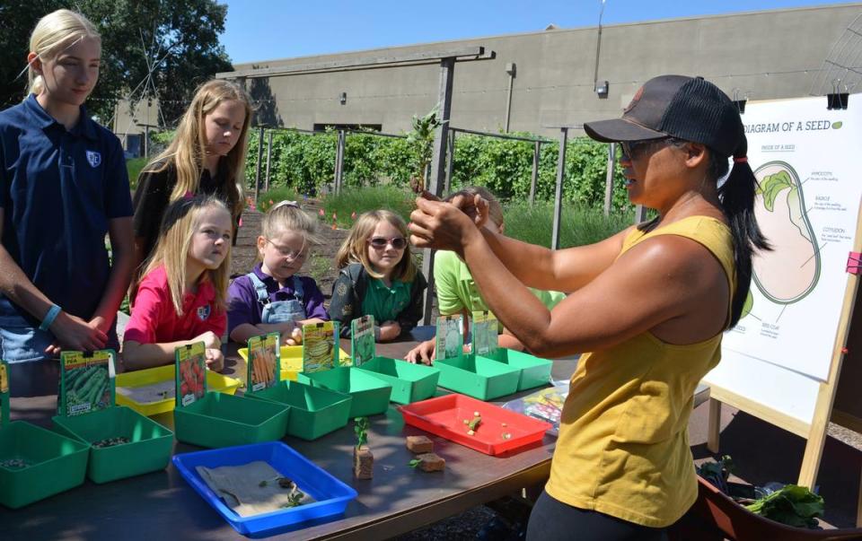 Rosel Vander Ruimte, right, talks about seeds at Garden Joy in Ripon, California, on May 15, 2024, where a Ripon Christian School field trip was organized.