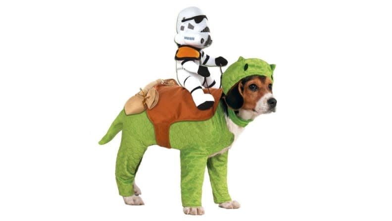 If your dog is small but sturdy, she'll have no problem embodying a dewback.