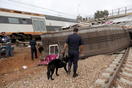 Member of Moroccan rescue team hi their dog search for survivors at the site of train derailment at Sidi Bouknadel near the Moroccan capital Rabat, Morocco October 16, 2018. REUTERS/Youssef Boudlal