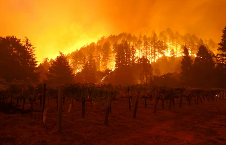 A forest fire burns through California's Napa Valley last May (JUSTIN SULLIVAN)
