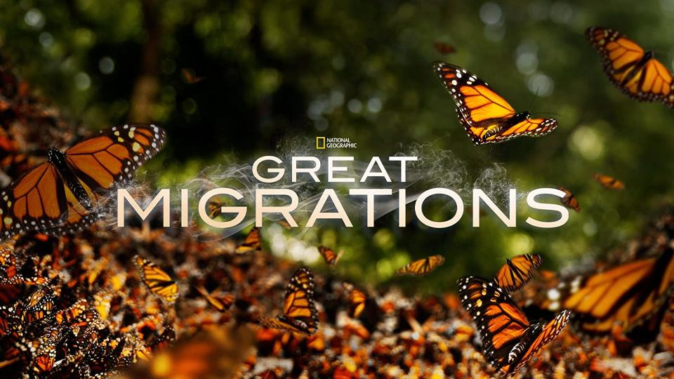 Great Migrations. Image via IMDB.