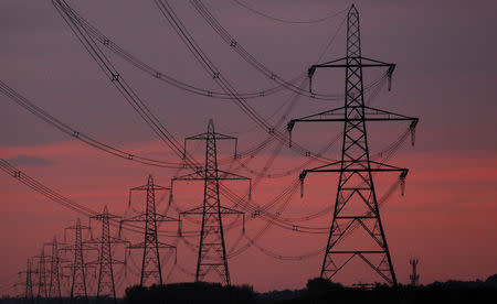 FILE PHOTO: The sun rises behind electricity pylons near Chester, northern England October 24, 2011. REUTERS/Phil Noble