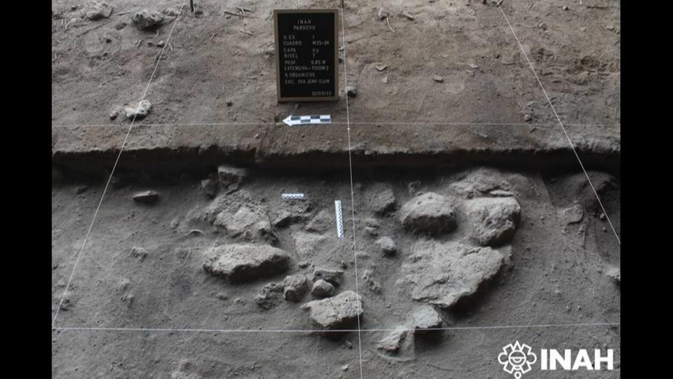 A hearth with charred botanical remains inside, which experts believe to be agave leaves.