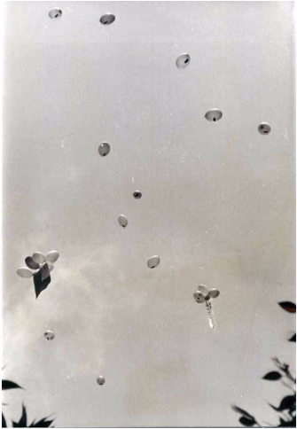 下方緊緊繫著口號標語的空飄氣球，內部則是裝了一張又一張的傳單。攝於1965年11月20日。（圖片來源：Psywar.com）