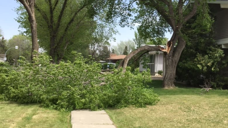 Intense winds lead to damage and power outages in Saskatchewan