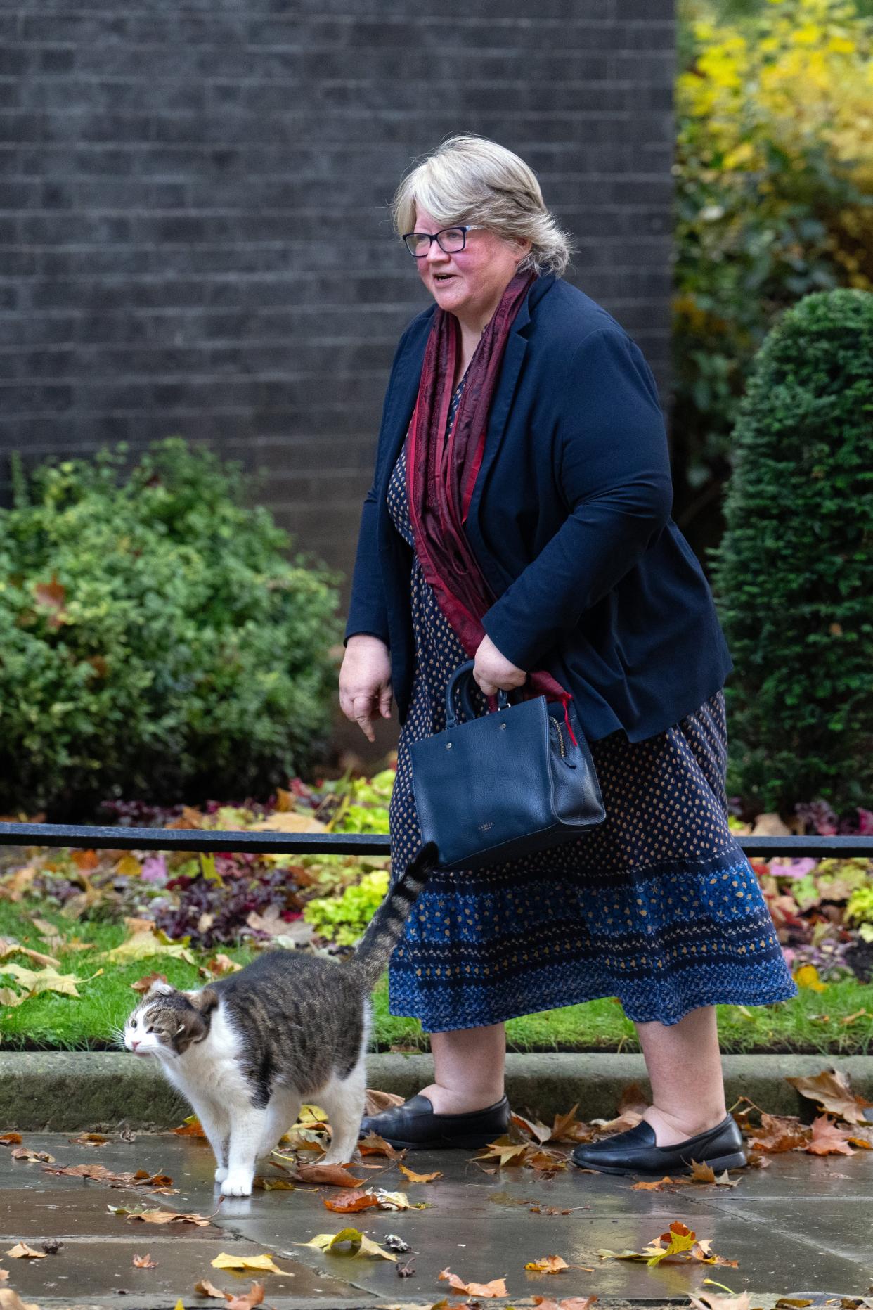 Therese Coffey has quit as environment secretary (Carl Court/Getty Images)