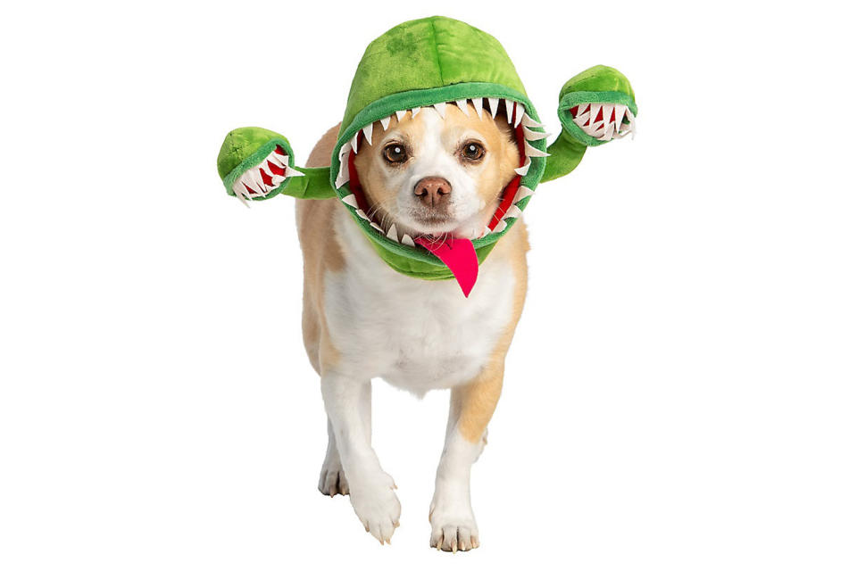 <p>Growing two extra mouths is an interesting approach to getting more treats.</p> <p><strong>Buy it!</strong> Venus Fly Trap Headpiece Dog Costume, $9.99; <a href="https://www.petsmart.com/featured-shops/halloween/thrills-and-chillsandtrade-halloween-venus-fly-trap-headpiece-dog-and-cat-costume-63973.htm" rel="nofollow noopener" target="_blank" data-ylk="slk:PetSmart.com;elm:context_link;itc:0;sec:content-canvas" class="link ">PetSmart.com</a></p>