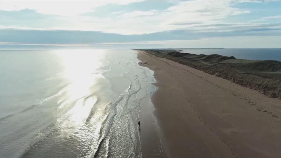 A drone view of the shoreline of one of the many sandy islands that make up Pituamkek. 