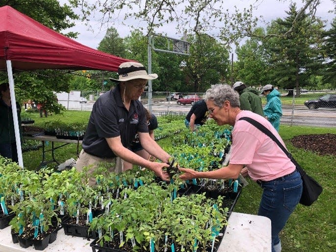 Plant experts will be on hand at the Butler County Master Gardeners Plant Sale, taking place Saturday at the OSU Extension in Hamilton.