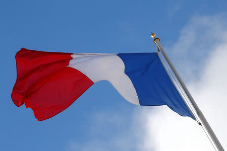 A French flag flutters in the sky over the Elysee Palace in Paris, France, December 10, 2018. REUTERS/Philippe Wojazer