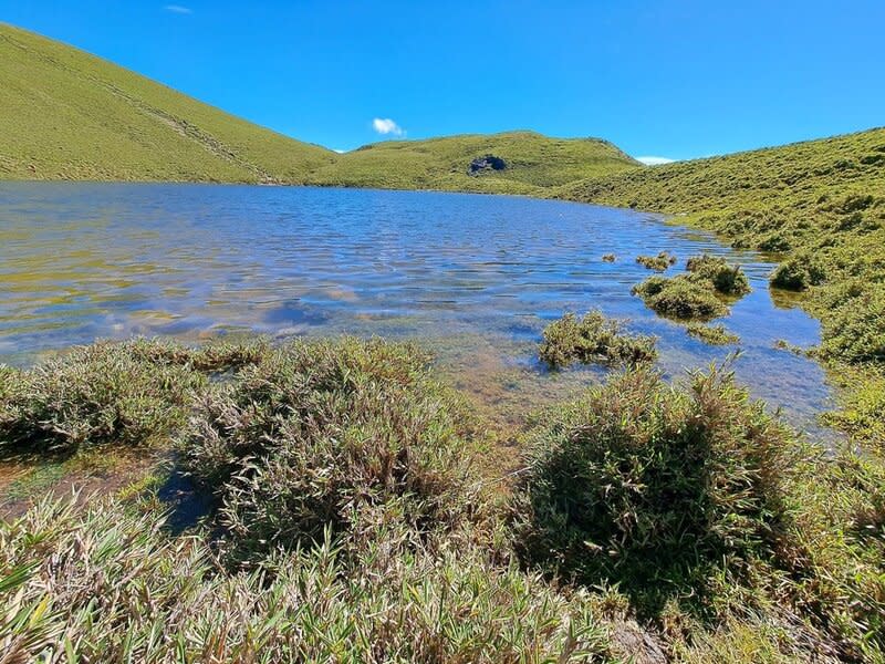 颱風杜蘇芮帶來豐沛雨量，稍早前因缺水被形容像荷包蛋的嘉明湖不僅滿水位，在颱風卡努接續降雨後，湖水已淹至湖旁箭竹。（中央社／熊出沒杜忠智提供）