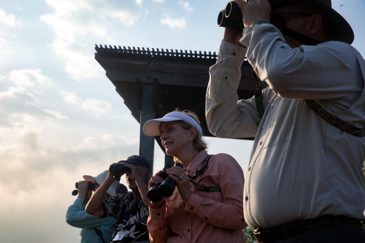 Birder Mary Hill, center, lowers her binoculars to look at Oso Bay Wetlands at a preserve during a Birdiest Festival in America tour group event, Thursday, April 27, 2023, in Corpus Christi, Texas.