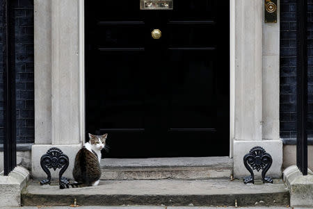 Larry the the Downing street cat sits outside number 10 after Britain's Prime Minister Theresa May left to announce that she is triggering the United Kingdom's exit from the European Union, in London. REUTERS/Stefan Wermuth