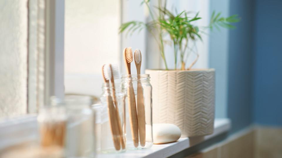 bamboo toothbrushes