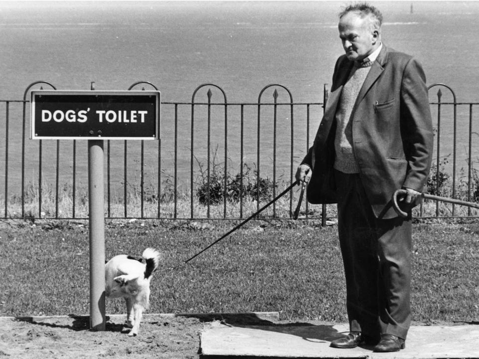 The dog toilet