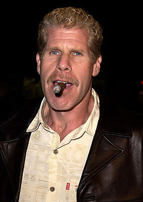 Ron Perlman at the Hollywood premiere of Life as a House