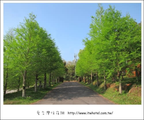 【台中夜景咖啡】MITAKA 3e咖啡‧女生一定會喜歡的夢幻咖啡廳+美麗夜景