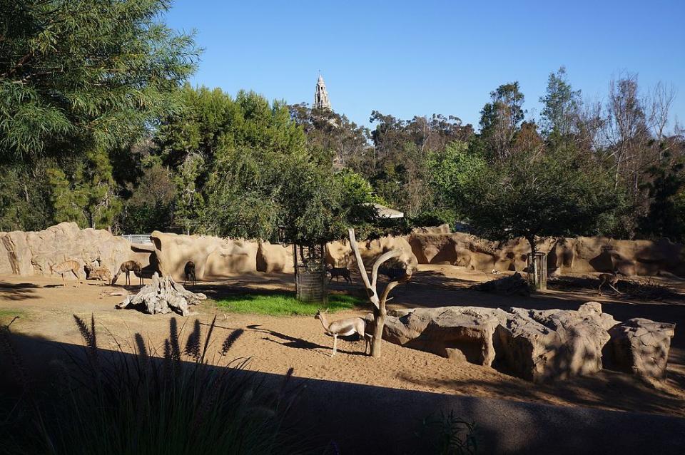 聖地牙哥動物園 (Photo by FASTILY, License: CC BY-SA 4.0, Wikimedia Commons提供)