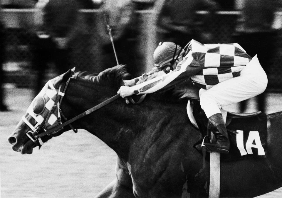 Secretariat  drives to victory in the Kentucky Derby with jockey Ron Turcotte aboard.