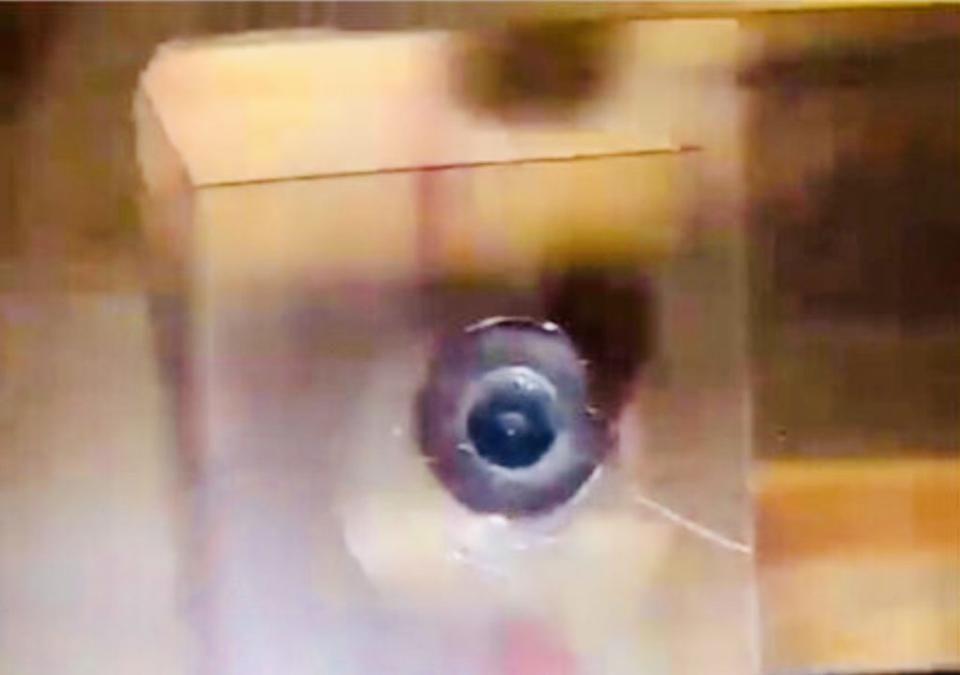 高雄市某摩鐵房內被客人發現裝針孔攝影機，有網友控業者嗆「老闆是檢察官」。（記者蔣謙正翻攝）