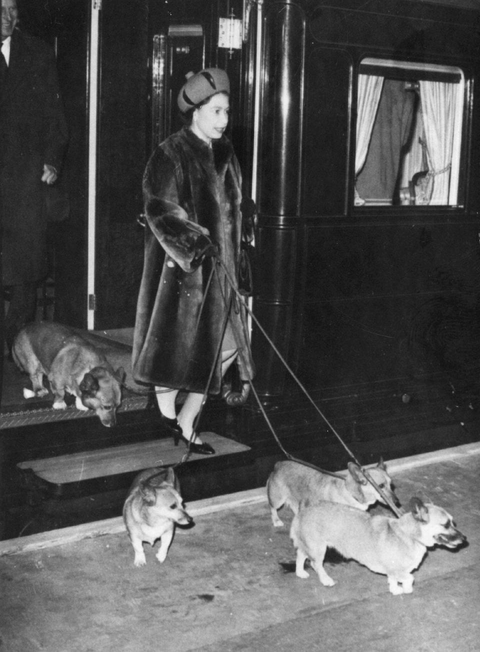 Queen and corgis