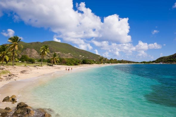 Turtle Beach, on the southeast peninsula, St. Kitts, Leeward Islands, West Indies, Caribbean, Central America