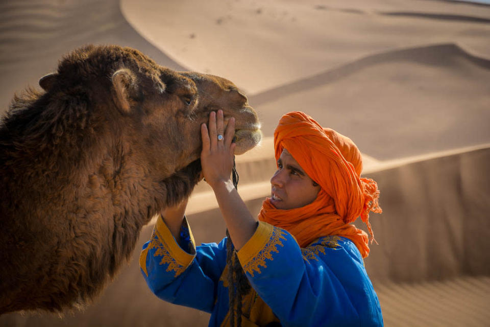 Getting up close and personal with a camel