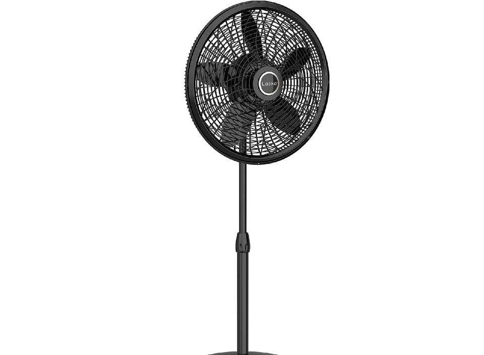 Black, Lasko brand fan.