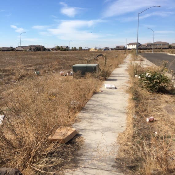 The sidewalk near Janeen Milhorn's house is littered with trash. (Alana Semuels)