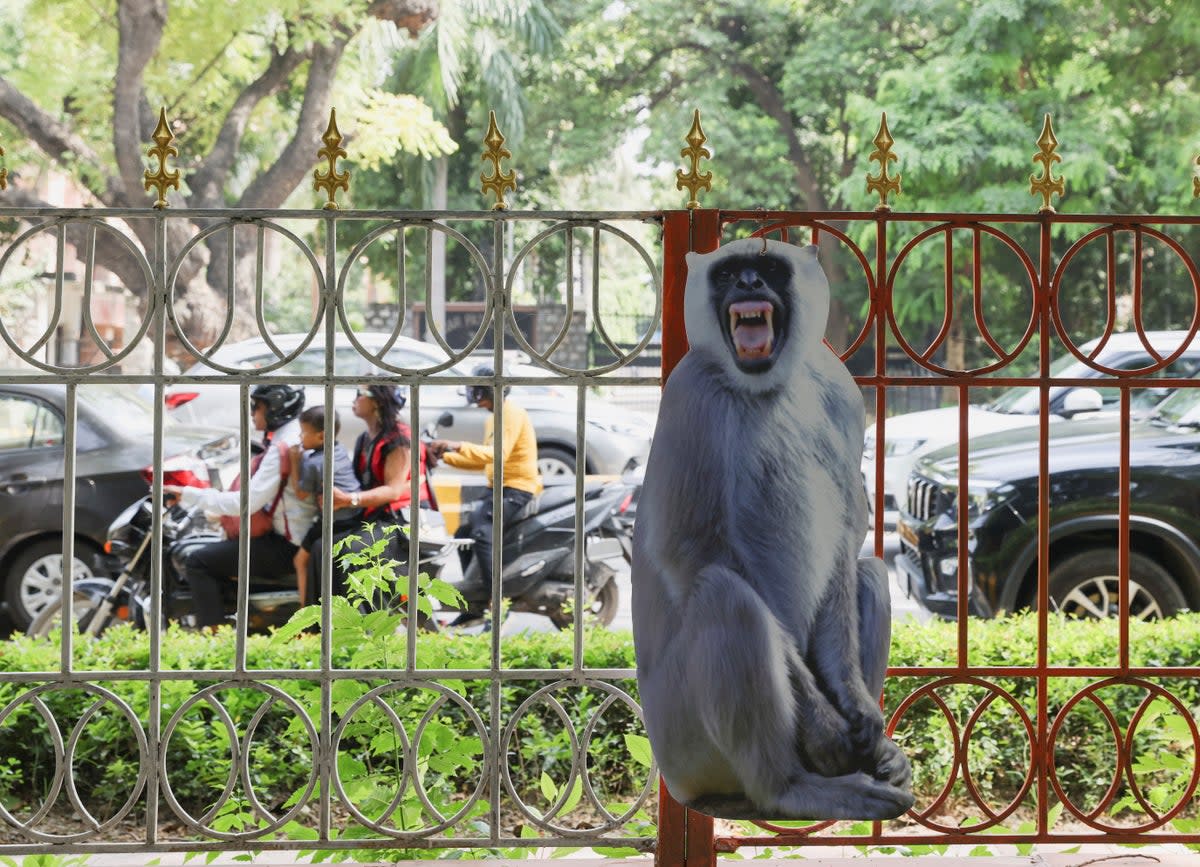 A cut-out of a langur is tied to a fence alongside a road to scare away monkeys, ahead of the G20 Summit in New Delhi (REUTERS)