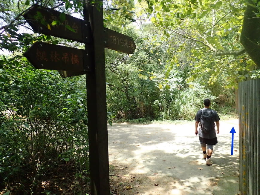 苗栗老崎古道（頭份後花園步道）