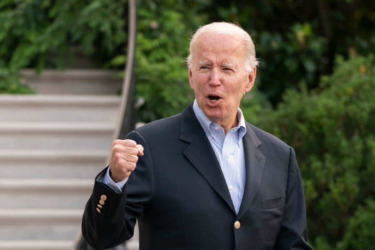 Biden has reason to celebrate this week  (AP)