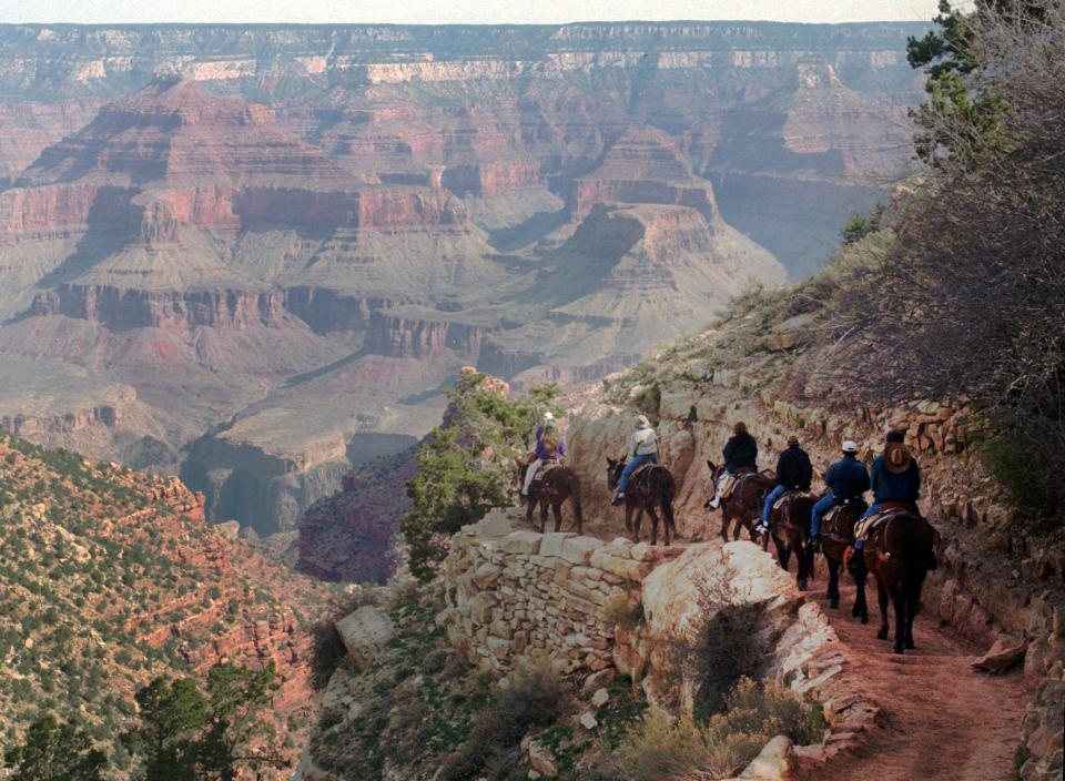 File-This March 27,1996 file photo shows a mule train winds its way down the Bright Angel trail at Grand Canyon National Park, Ariz. The start of one of the Grand Canyon's most iconic and popular trails has been redesigned and now includes an etched rock sign marking the Bright Angel trailhead. (AP Photo/Jeff Robbins,File)