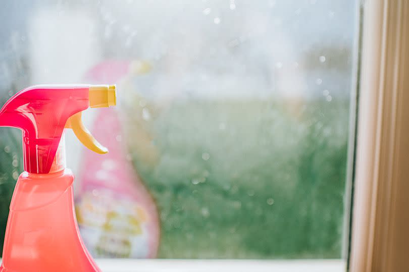 a cleaning product spray bottle next to a window