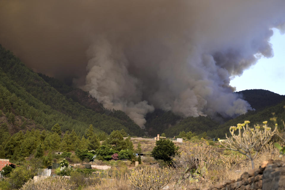 The flames advance through the forest near the town of El Rosario, as wildfire continues to burn on Tenerife, Canary Islands, Wednesday, Aug. 16, 2023. An out-of-control wildfire on the Spanish Canary island of Tenerife has burned some 2,600 hectares (6,400 acres) of land and forced the evacuation of some 300 people from several small towns, Canary Islands regional president Fernando Clavijo said Thursday. (Europa Press via AP)