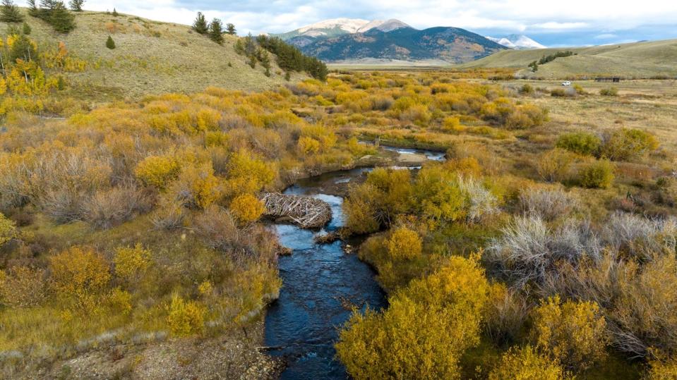 A new State Wildlife Area is coming soon near Tarryall Creek in South Park, Colorado.