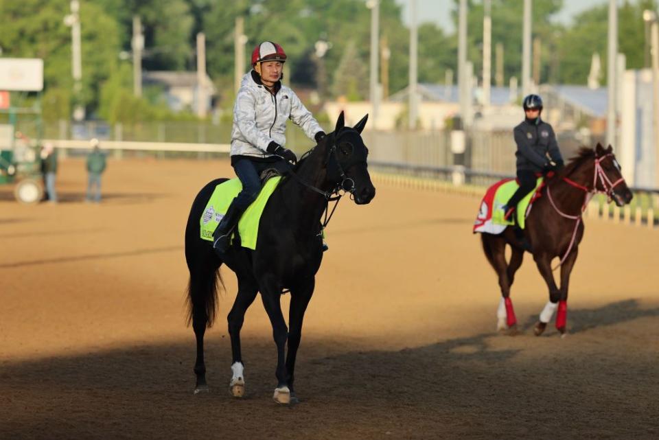 kentucky derby previews