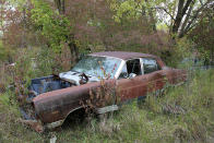 <p>Parking cars under trees is never advisable. Wet leaves accumulate in the crevasses, and with the sun unable to break through the canopy of foliage above, they remain damp and act as a breeding ground for <strong>dreaded rust</strong>. So far, this 1967 Ford Fairlane has managed to avoid too much rot, but it’s only a matter of time.</p>