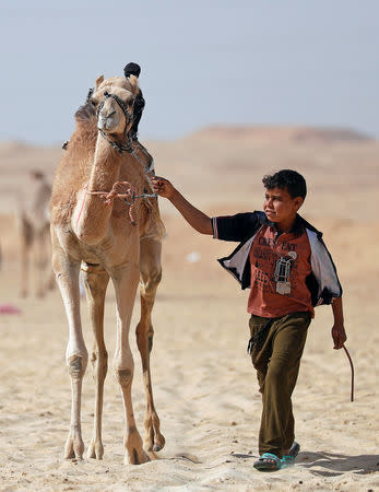 Sayed Mohamed, an 11-year-old jockey, walks with his camel during the opening of 18th International Camel Racing festival at the Sarabium desert in Ismailia, Egypt, March 12, 2019. Picture taken March 12, 2019. REUTERS/Amr Abdallah Dalsh