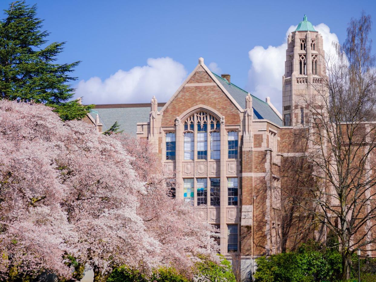 "Cherry blossom trees in front of a building in the University of Washington quad in Seattle, Washington."